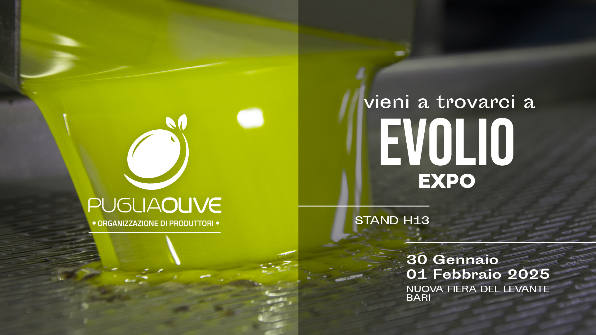 puglia olive fiera evolio expo bari